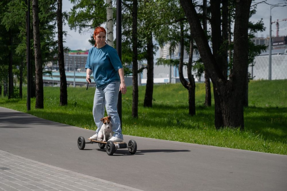 The Latest Advances in electric rides Battery Technology